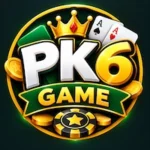 PK 6 APK Download logo